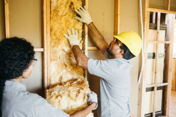 Reliable Opelousas, LA Insulation Solutions